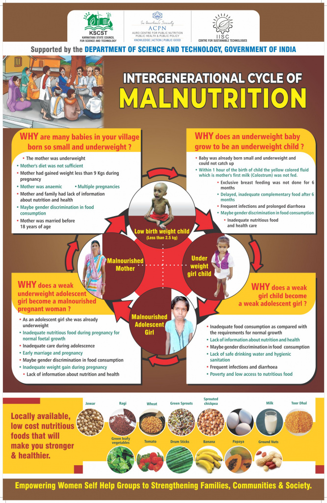 Intergenerational Lifecycle of Malnutrition